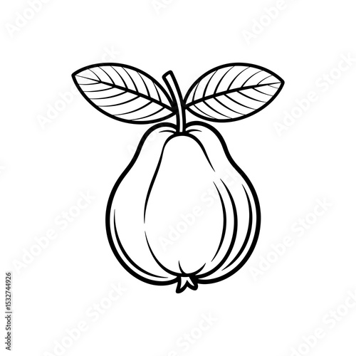 Line art illustration of a guava fruit with leaves