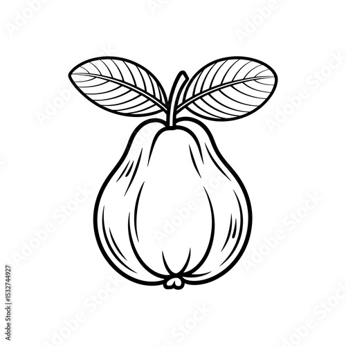 Line art illustration of a guava with leaves