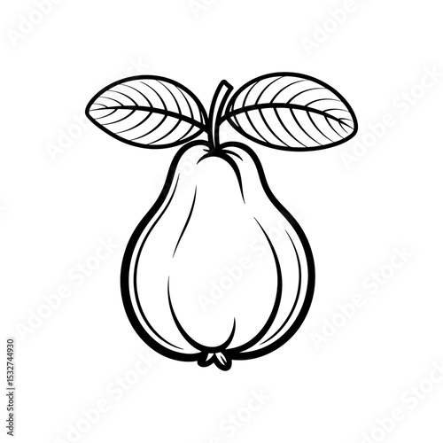 Line art illustration of a guava fruit with leaves