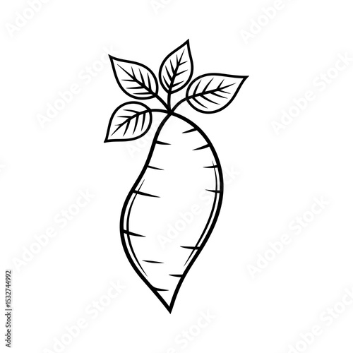 Line art illustration of a sweet potato with leaves