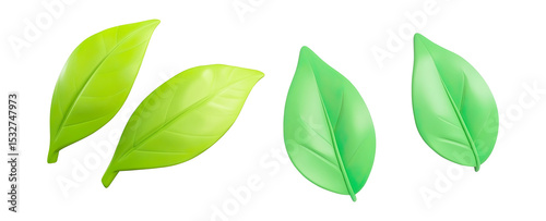 3D Three Green Leaves Isolated on White on a Transparent Background