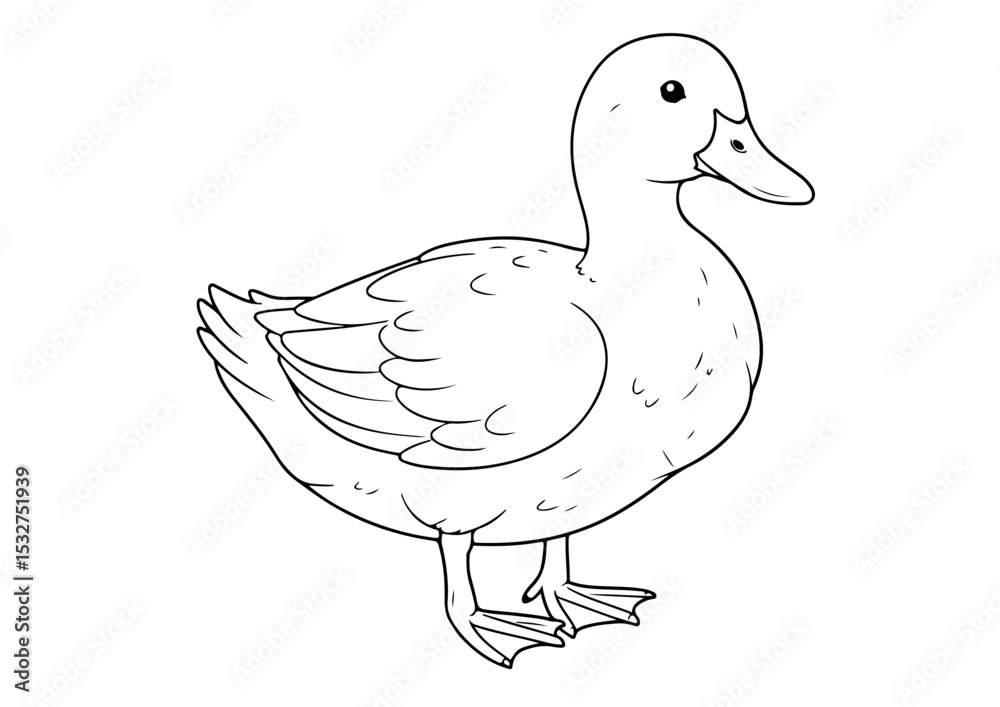 Obraz premium duck cartoon outline line art coloring page for adult childern kids, vector illustration, white background