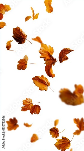 A bunch of leaves are flying in the air