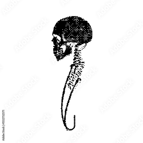 Human Skeleton Snake bones Pixel art vector. The pixels are scattered, dissolve. Vector monochrome style. Abstract random squares, background. Template. Monochrome style. ilustracion en vector 