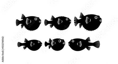 Pufferfish Growth Stages: Six silhouettes of pufferfish, showcasing different growth stages from small to large, arranged in two rows. 