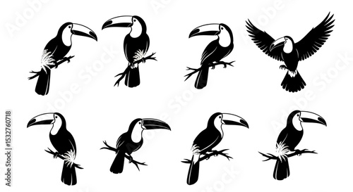 Elegant Toucans Silhouettes: A collection of eight sophisticated toucan silhouettes, each perched gracefully on a branch, perfect for adding a touch of exotic flair to any project.