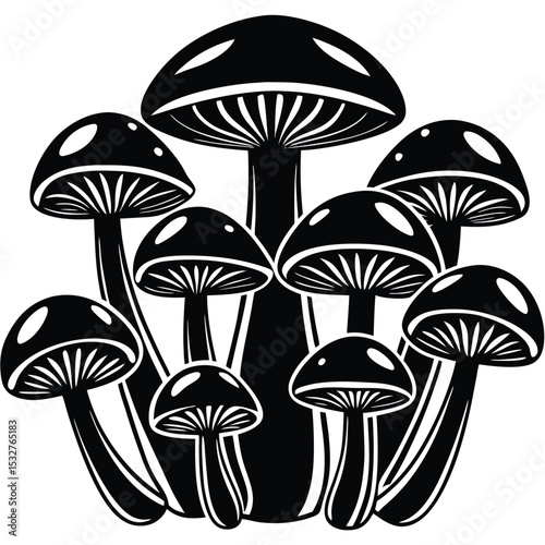 Majestic Mushrooms A Cluster of Fungi