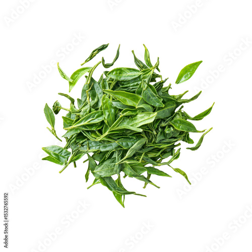 Loose Leaf Green Tea Leaves, Freshly Harvested, Top View