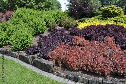 Carta da parati Vibrant garden landscape with ornamental bushes in green, yellow, and red color