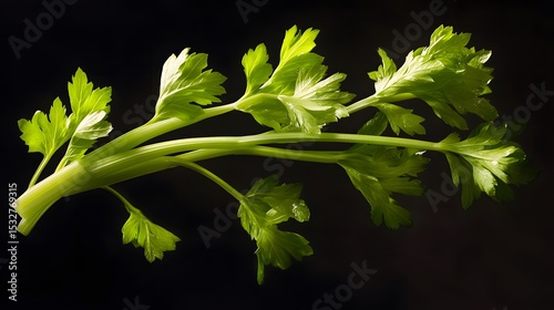 Surreal Artistic Capture of Floating Fresh Celery Stalks with Exquisite Selective Focus Emphasizing Lively Green Details