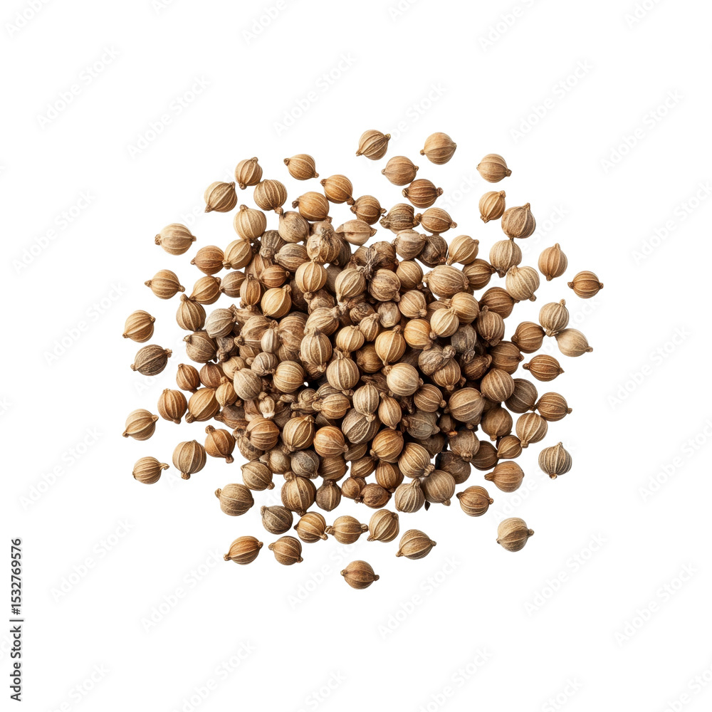 Aromatic Coriander Seeds Scattered on Black Background Aromatic Coriander Seeds Scattered on Black Background