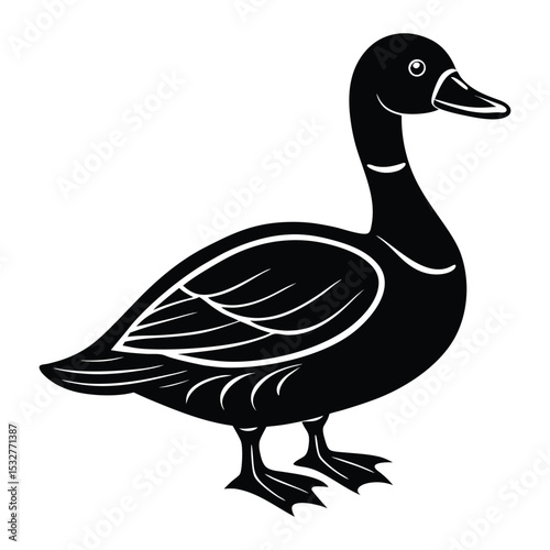 duck vector illustration