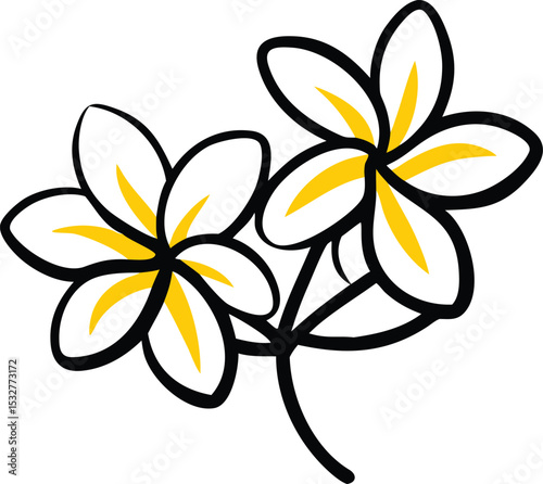 Captivating Frangipani Flowers: A Delicate Dance of White and Yellow Hues, Highlighted by Bold Black Outlines, Showcasing Nature's Artistic Elegance and Tropical Charm in a Captivating Visual Display