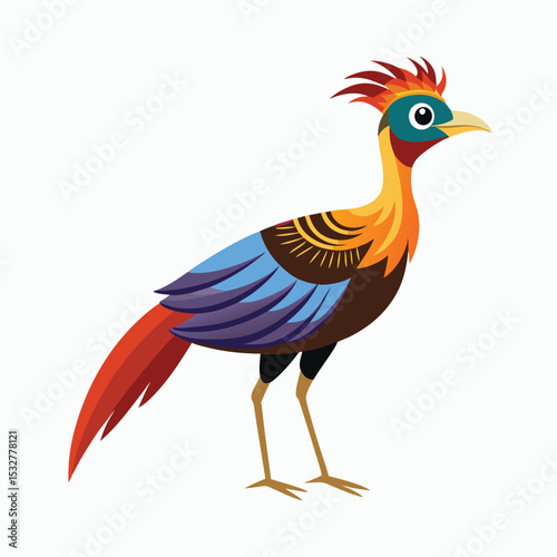 pheasant bird isolated on white