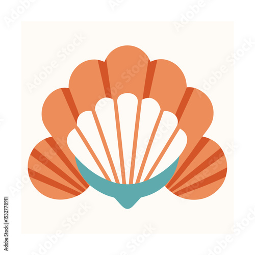 Seashell Collection Neatly Arranged on White Background