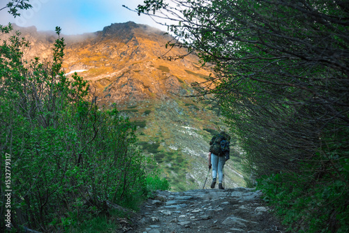Backpacker on stone path surrounded by vegetation during sunset. Solo adventurer hiking scenic mountain route with golden light on peaks