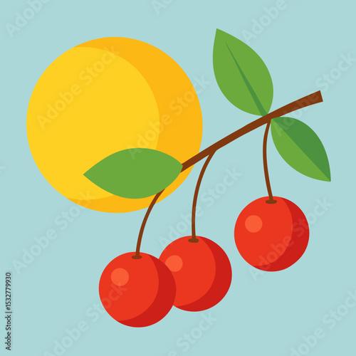 vector illustration of cherry