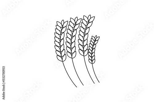 Barley outline one line art illustration
