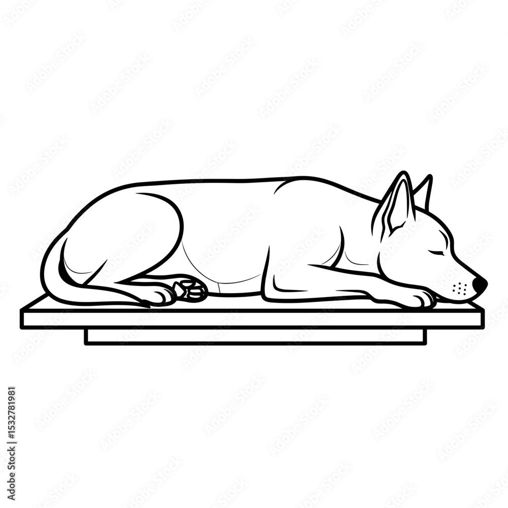 Obraz premium The dog sleeps peacefully on the vet's table, a cozy and relaxed atmosphere.