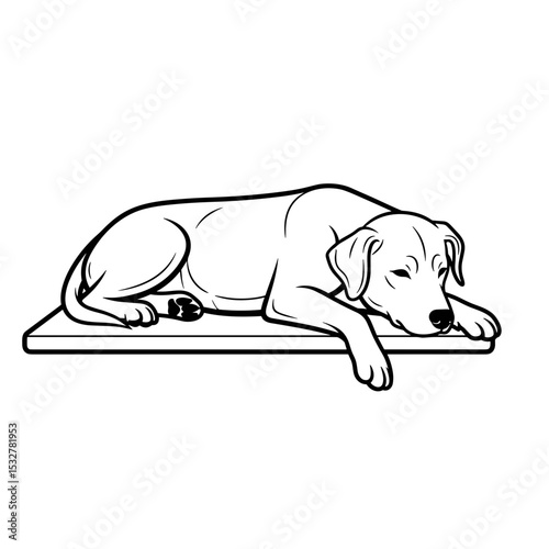 Dog resting on a veterinarian's table, calm and relaxed, pet care environment