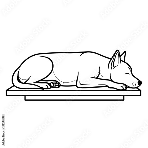 The dog sleeps peacefully on the vet's table, a cozy and relaxed atmosphere.