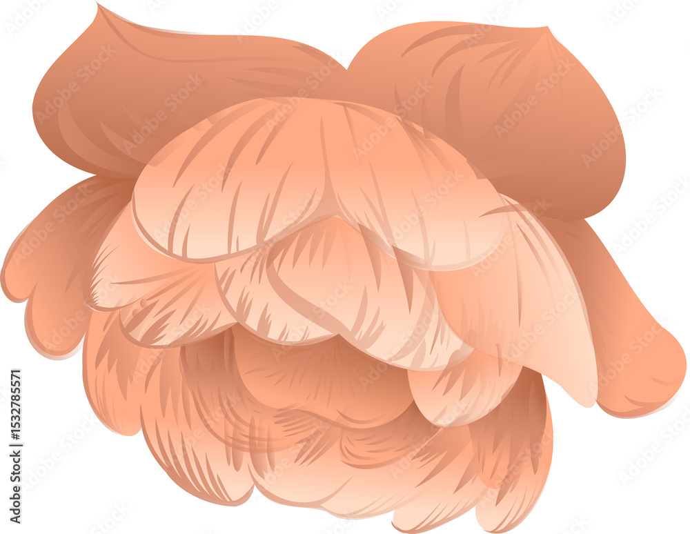 Naklejka premium Flat design is forming overlapping peach coral petals as stylized bloom, transparent background