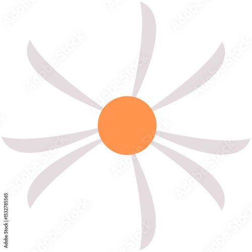 Fototapeta Naklejka Na Ścianę i Meble -  Flat vector is showing daisy with eight white petals and orange center, transparent background