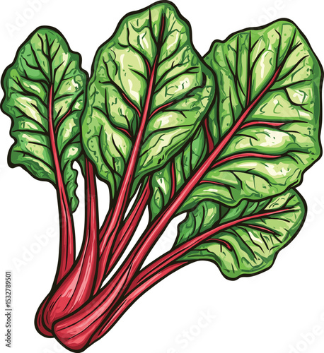 vector illustration of a vegetable