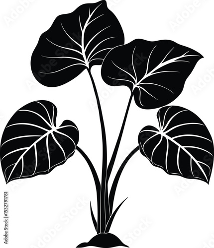 A collection of stylized and intricate leaf designs, ranging from detailed black and white illustrations to simpler green and brown motifs, suitable for various decorative purposes.