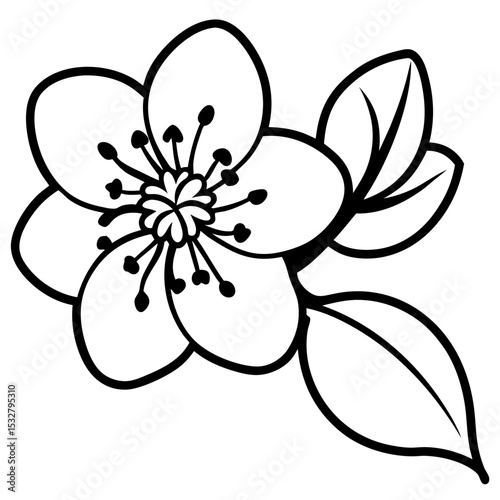 black and white flower