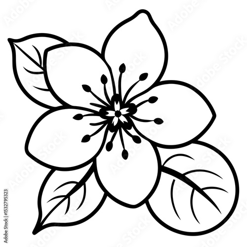 black and white flower