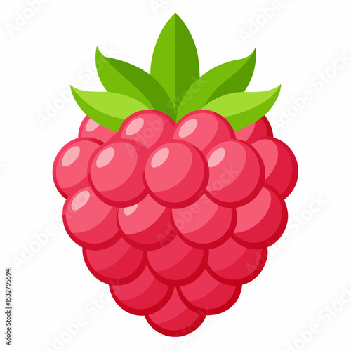 raspberry with leaf
