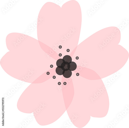 Vector-style pink blossom is floating on transparent background, showing six petals and stamen dots