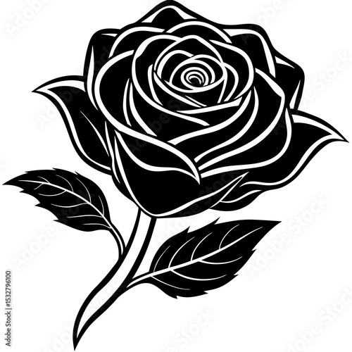 black and white rose