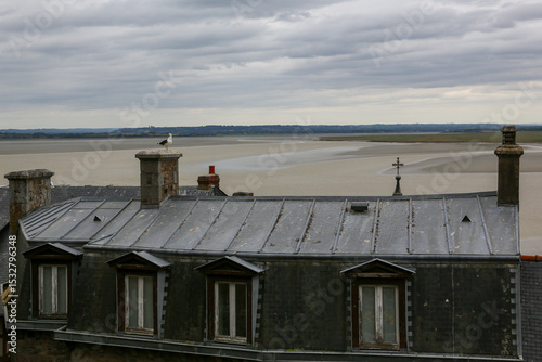 Seagull resting on the rooftops of a city by the sea on a cloudy day
