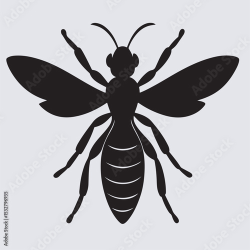 a wasp silhouette vector art illustration, vector illustration of a dragonfly