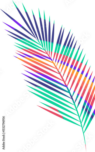 Stylized palm frond vector is showing multicolored gradient leaflets on transparent background