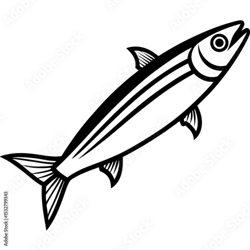 Sardine Illustration – Clean Vector Style