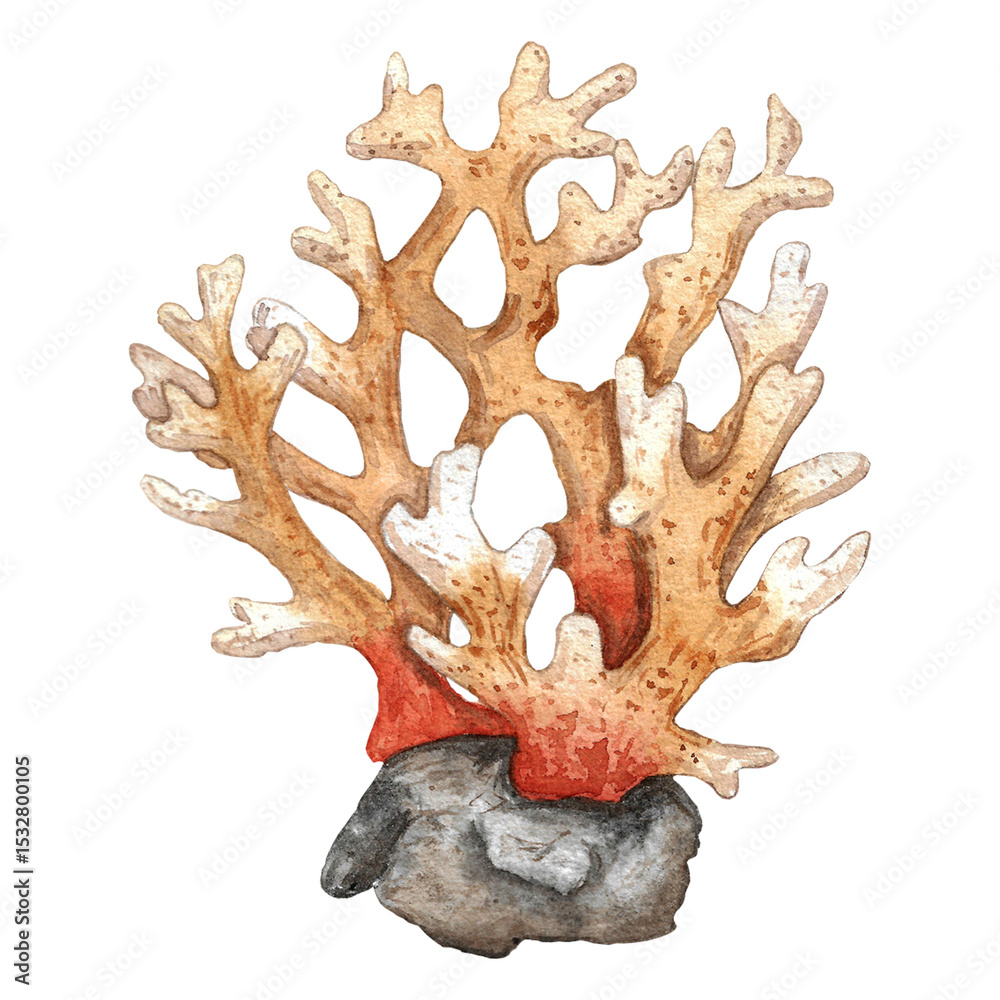 Obraz premium Watercolor painting of branching coral on a rock in orange, brown, and grey tones representing marine life and natural beauty with copy space