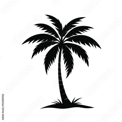 -palm-tree-silhouette-for-tropical-design--on-whit.eps