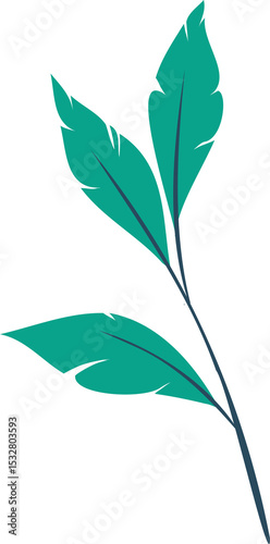 Stylized branch with three green leaves is being shown in flat vector style, transparent background