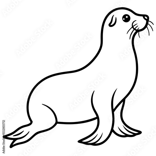 Minimalist Sea Lion Line Art on White Background
