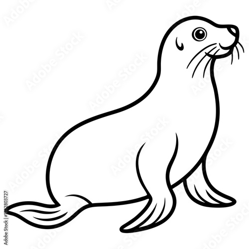 Minimalist Sea Lion Line Art on White Background