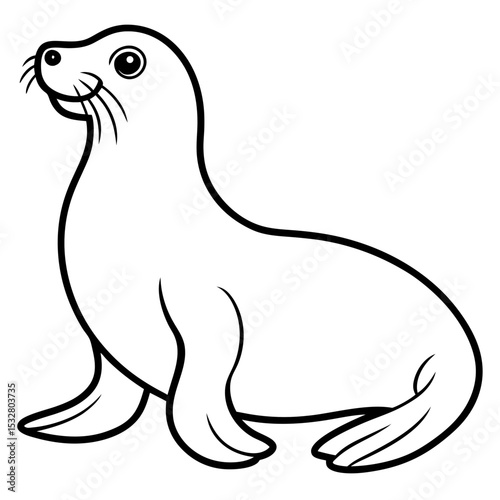 Minimalist Sea Lion Line Art on White Background