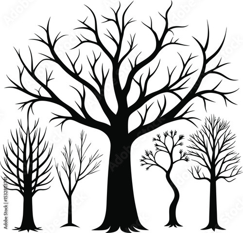 A comprehensive collection of diverse tree illustrations, featuring stylized depictions of various trees from different seasons and perspectives, ranging from simple outlines to more detailed designs.
