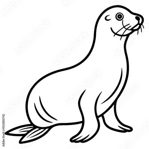 Minimalist Sea Lion Line Art on White Background