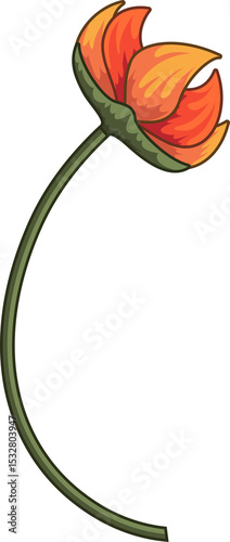 Stylized orange tulip blooming on gently curving green stem in flat design, transparent background
