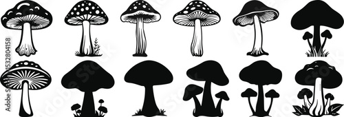 Set of black vector silhouettes of different mushrooms with various caps and stems, isolated on white background for nature, botanical, and illustration use in digital design projects.