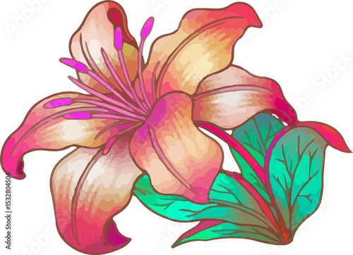 Fototapeta Naklejka Na Ścianę i Meble -  Flat style lily is floating on transparent backdrop, showing gradient petals and magenta stamen
