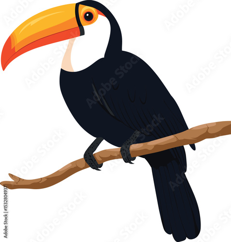 toucan bird on branch